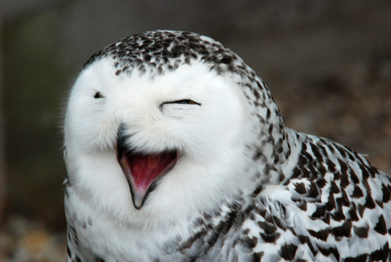 Bald geht es hoffentlich weiter…